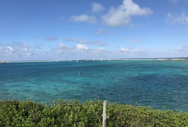 西平安名岬の写真・動画_image_237495