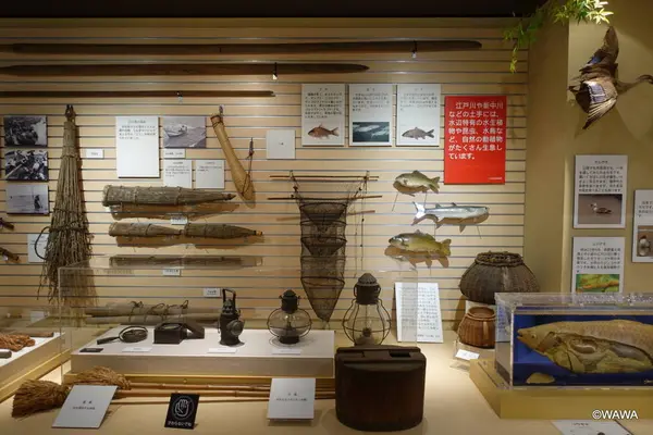 江戸川区郷土資料室の写真・動画_image_237592