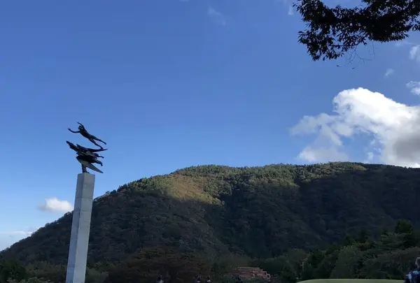 彫刻の森美術館の写真・動画_image_237850