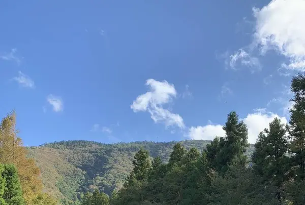 彫刻の森美術館の写真・動画_image_237851