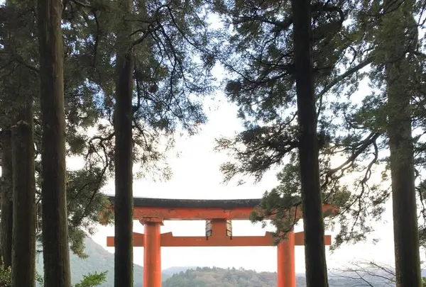箱根神社の写真・動画_image_237855