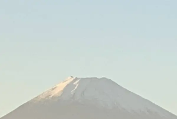 三島スカイウォークの写真・動画_image_237856