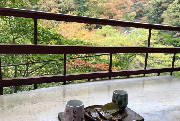 袋田の滝の写真・動画_image_237950
