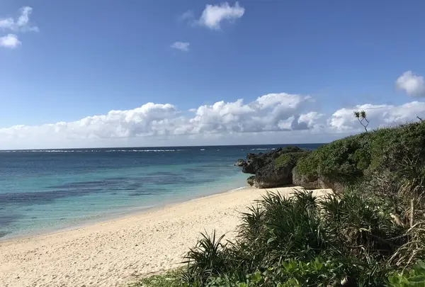 イキヅービーチの写真・動画_image_237958