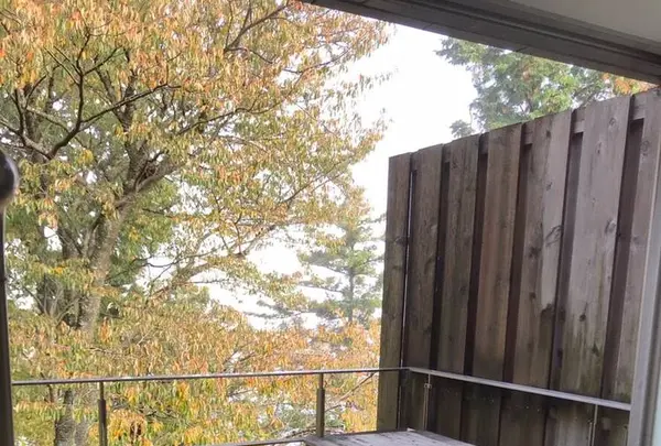 強羅 夢の湯の写真・動画_image_237965