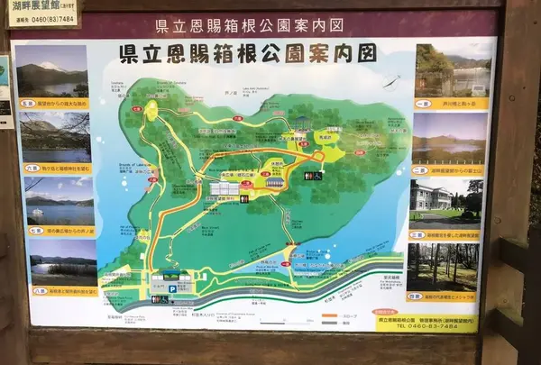 県立恩賜箱根公園の写真・動画_image_237967