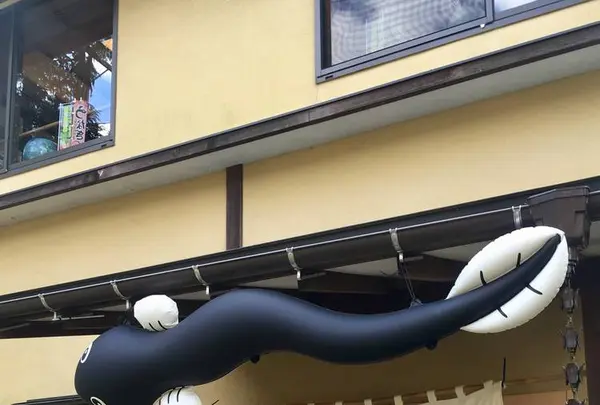 銀の穂の写真・動画_image_238051