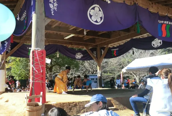 岩屋公園の写真・動画_image_238081