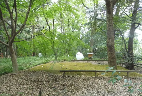 下鴨神社（賀茂御祖神社）の写真・動画_image_238114