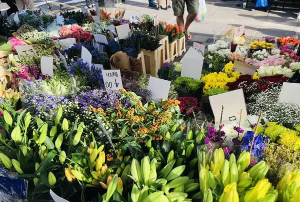 Portobello Road Marketの写真・動画_image_238331