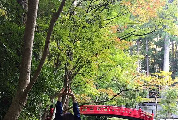 小國神社の写真・動画_image_238412