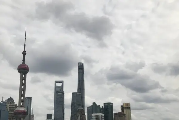 浦東新区の写真・動画_image_238439