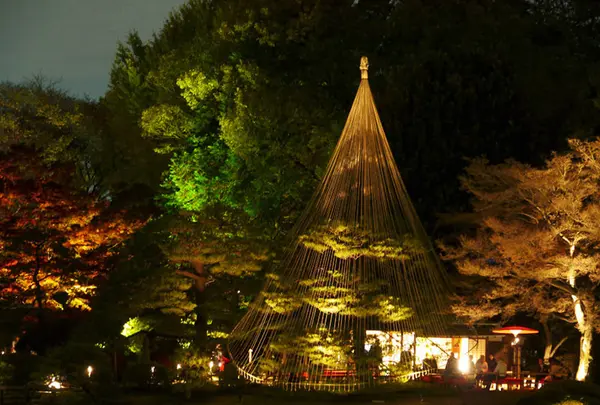 六義園の写真・動画_image_238481