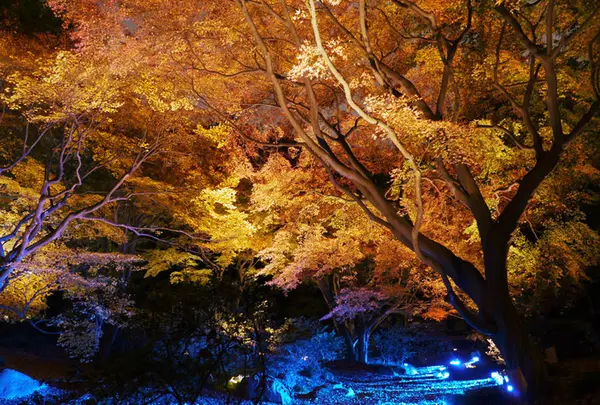 六義園の写真・動画_image_238484