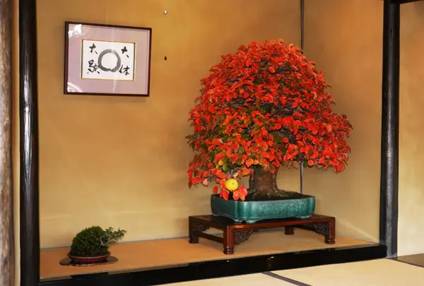 国営昭和記念公園の写真・動画_image_238495