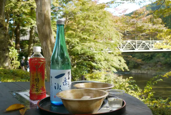澤乃井園　清流ガーデンの写真・動画_image_238507
