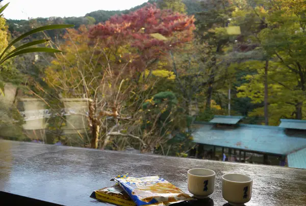 澤乃井園　清流ガーデンの写真・動画_image_238508