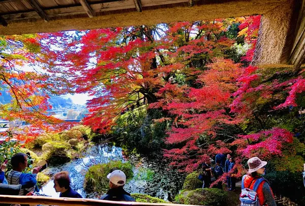 吉水園の写真・動画_image_238538