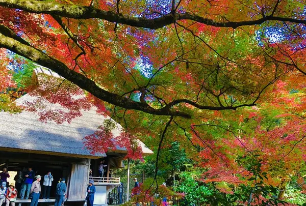 吉水園の写真・動画_image_238541