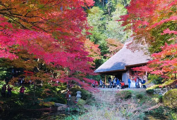 吉水園の写真・動画_image_238542