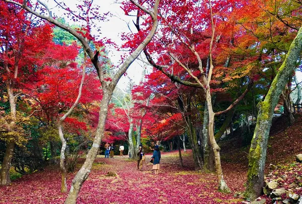 尾関山公園の写真・動画_image_238544