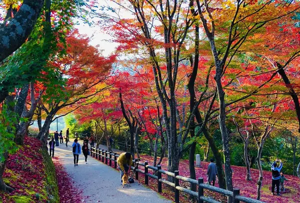 尾関山公園の写真・動画_image_238546