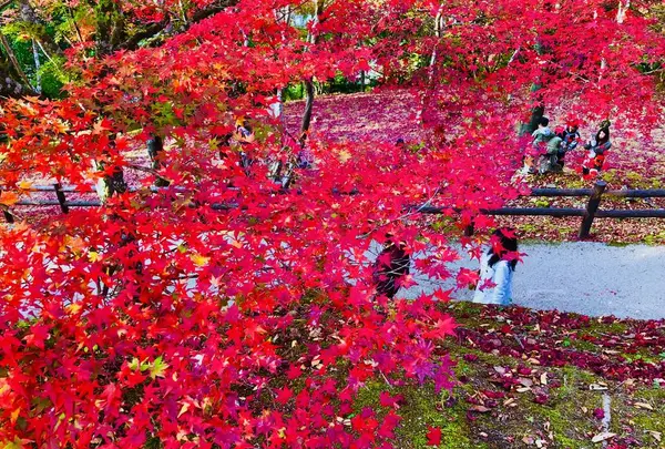 尾関山公園の写真・動画_image_238548