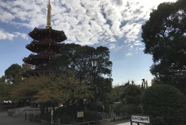 大師公園の写真・動画_image_238636