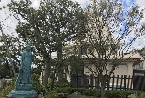 大師公園の写真・動画_image_238646