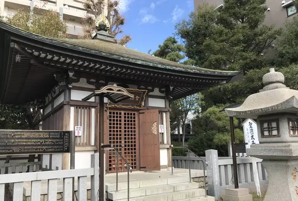 大師公園の写真・動画_image_238652