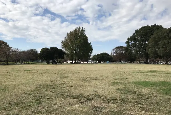 大師公園の写真・動画_image_238656