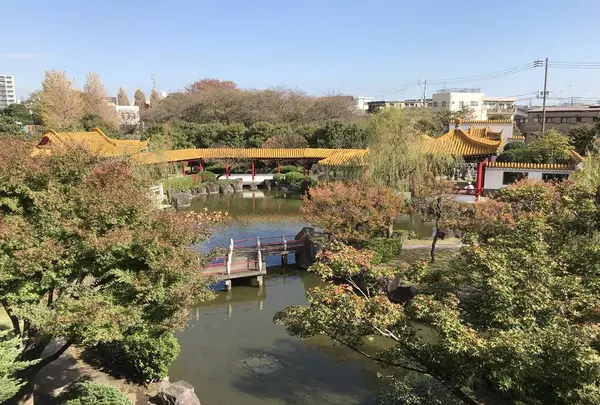 大師公園の写真・動画_image_238671