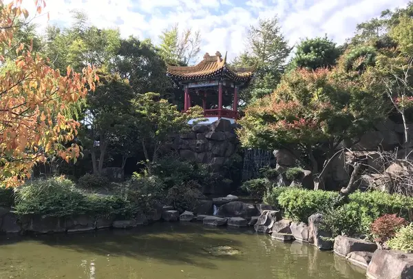 大師公園の写真・動画_image_238672