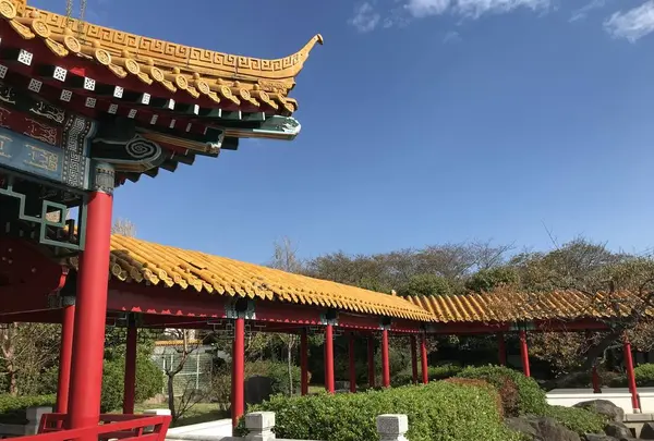 大師公園の写真・動画_image_238673
