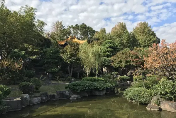 大師公園の写真・動画_image_238674