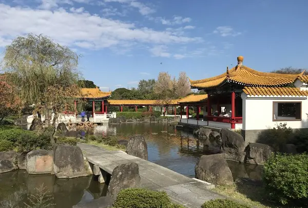 大師公園の写真・動画_image_238676