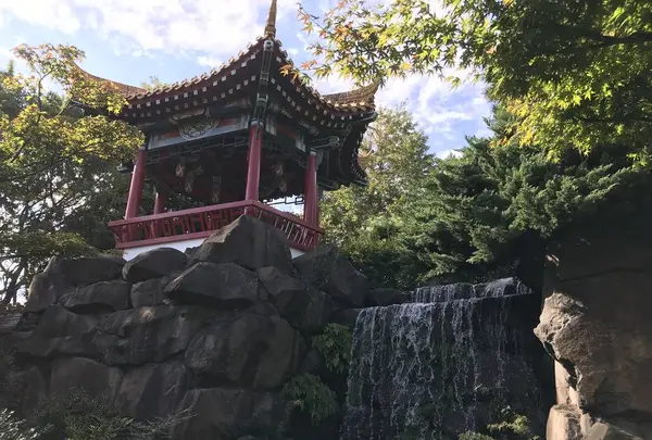 大師公園の写真・動画_image_238677