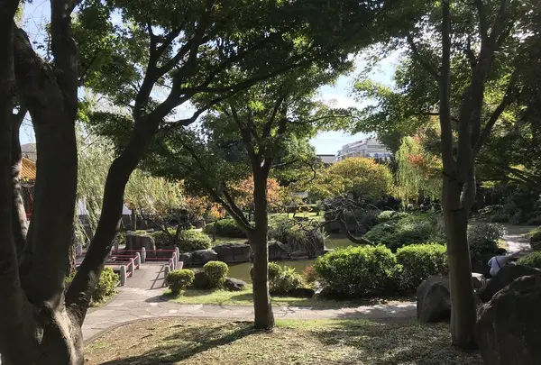 大師公園の写真・動画_image_238678