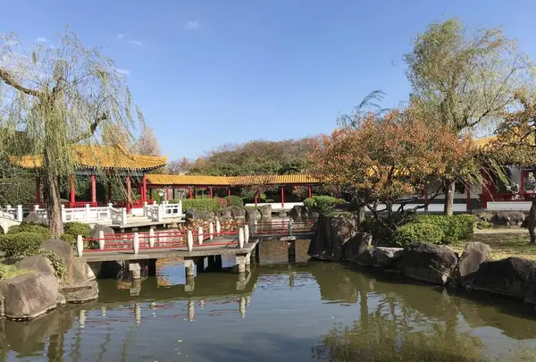 大師公園の写真・動画_image_238679