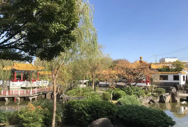 大師公園の写真・動画_image_238680