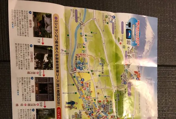 日枝神社の写真・動画_image_238744