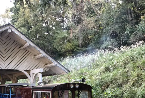 修善寺 虹の郷の写真・動画_image_238842