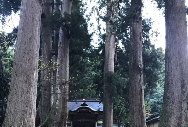 大本山永平寺の写真・動画_image_238874