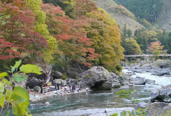 御岳渓谷の写真・動画_image_238939