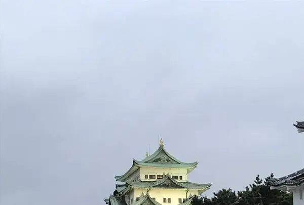名古屋城の写真・動画_image_238980