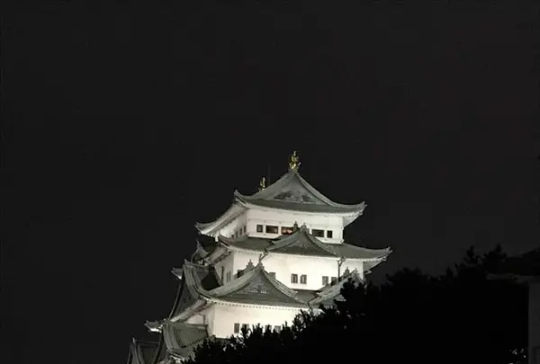 名古屋城の写真・動画_image_238981