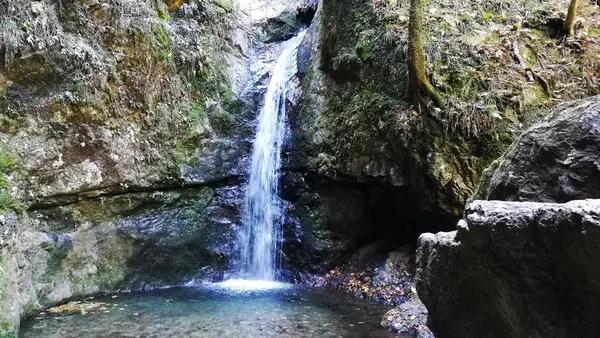 御岳山の写真・動画_image_238996