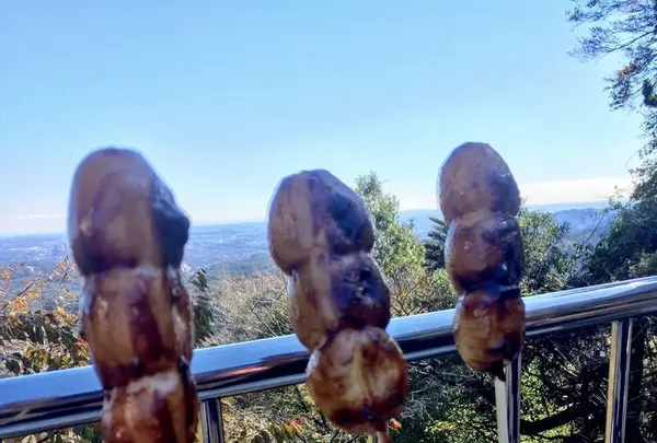 高尾山駅の写真・動画_image_239142