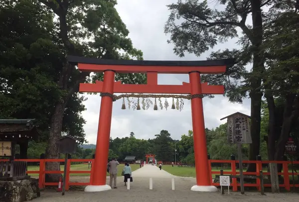 上賀茂神社（賀茂別雷神社）の写真・動画_image_239303