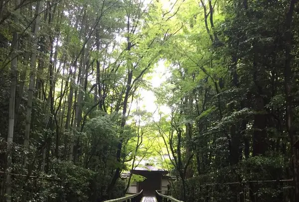 高桐院の写真・動画_image_239314